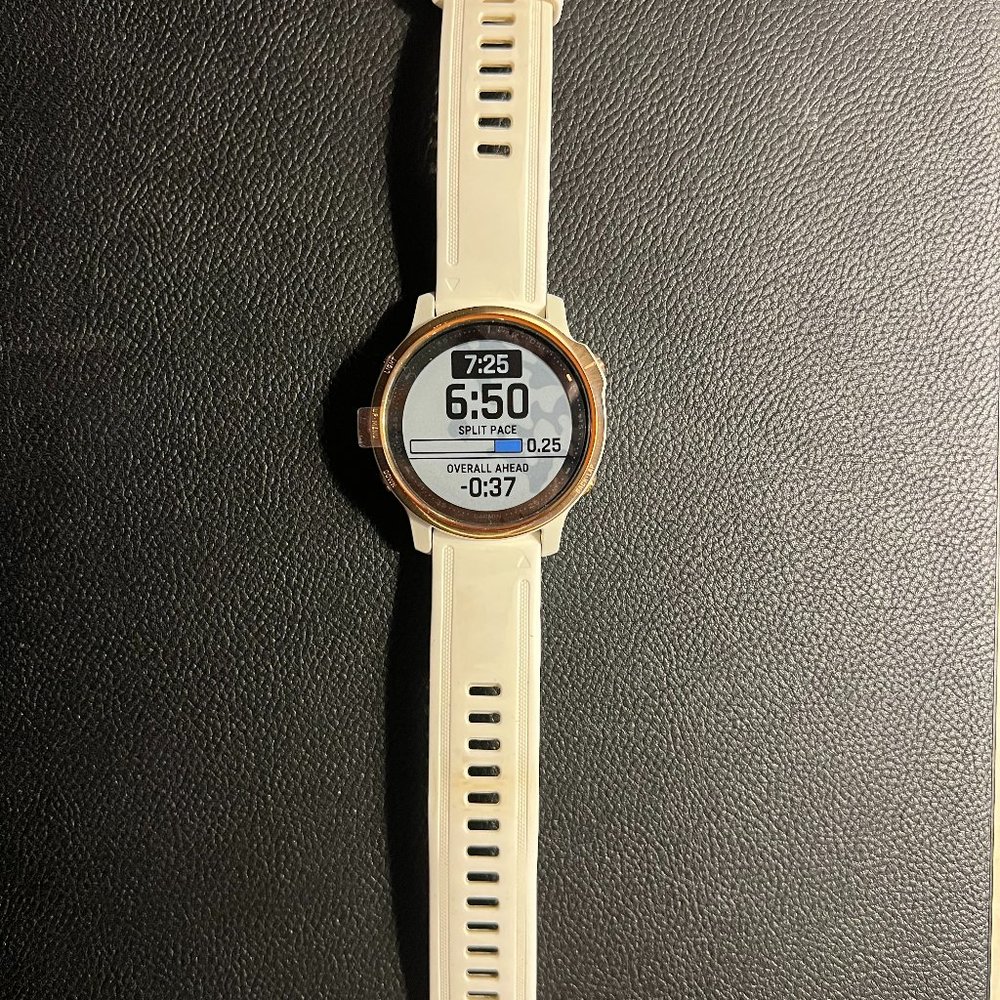 Garmin Fenix 6S Pro